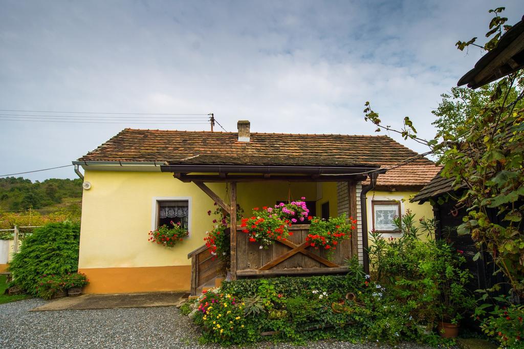 Country House Stara Kapela Nova Kapela Номер фото