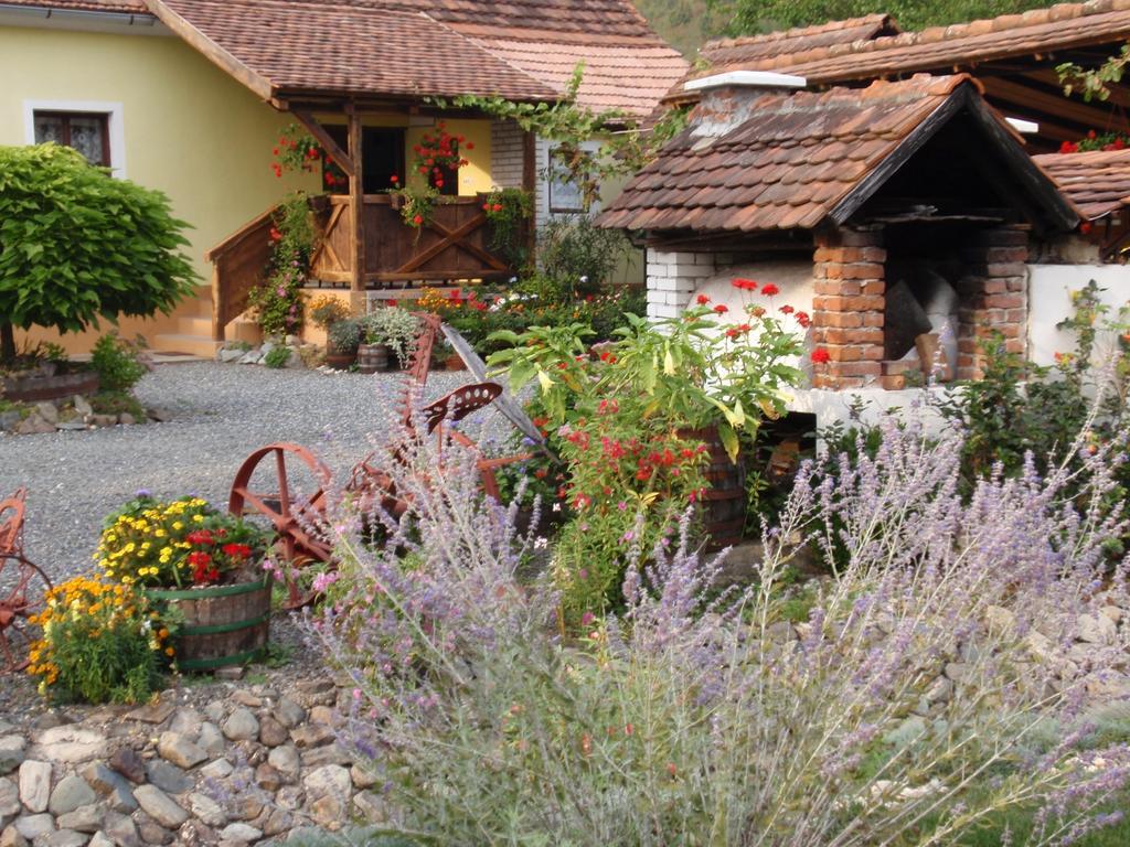 Country House Stara Kapela Nova Kapela Экстерьер фото