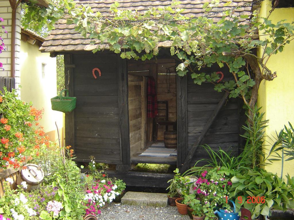 Country House Stara Kapela Nova Kapela Экстерьер фото